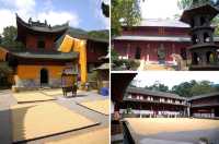 天台國清寺：農禪共存共榮的聖地