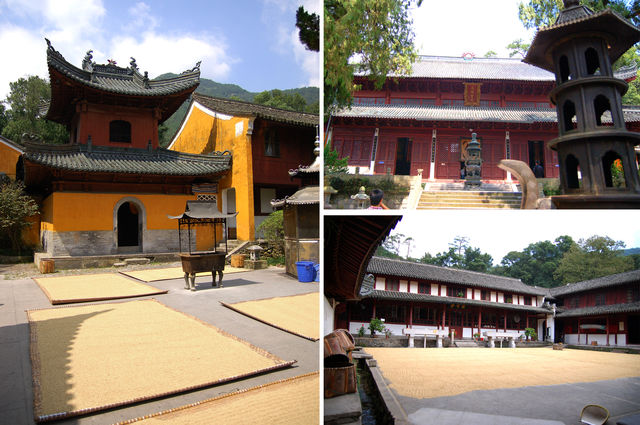 天台國清寺：農禪共存共榮的聖地