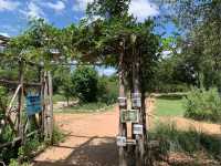 Jacob’s Well Natural Area – Wimberley