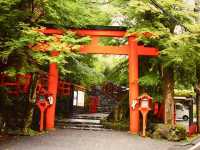 Kifune Shrine (貴船神社) – Kyoto’s Enchanted Water Shrine** 🌊⛩️ 