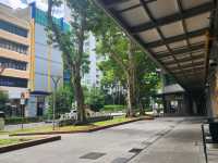 Walking Around Singapore
