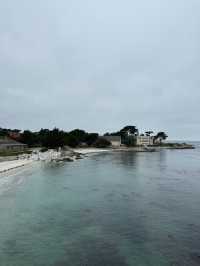 海底總動員取景靈感 | Monterey Bay Aquarium 蒙特雷灣水族館🐟