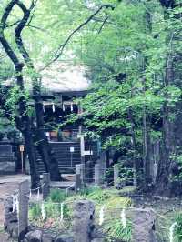 【東京都　北区　芥川龍之介ゆかりの地・田端の坂道と寺社の数々。赤紙仁王尊】