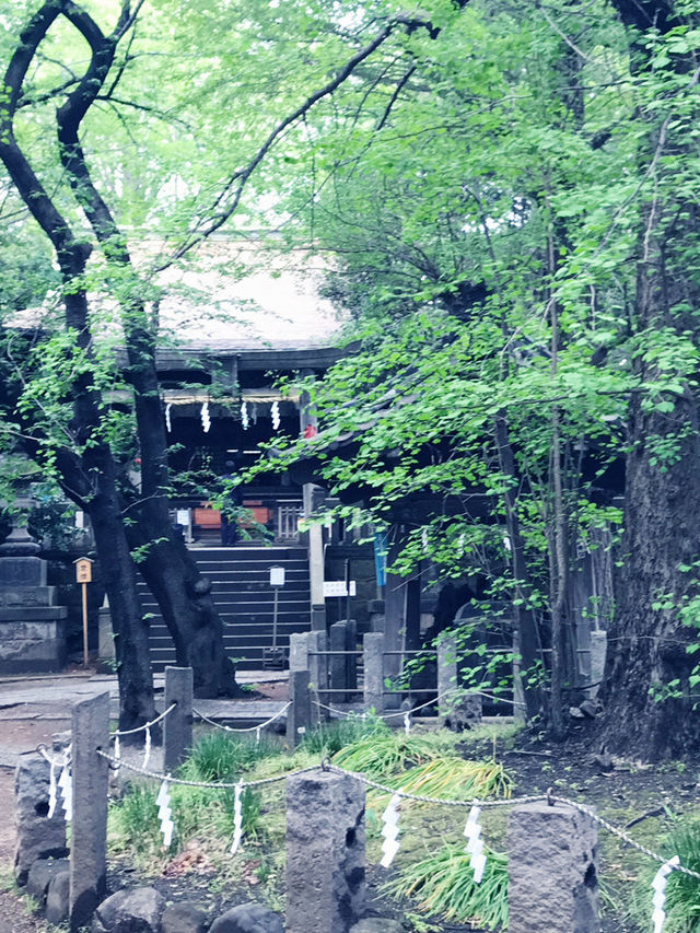 【東京都　北区　芥川龍之介ゆかりの地・田端の坂道と寺社の数々。赤紙仁王尊】