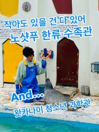 작아도 있을 건 다 있어 노샷푸 한류 수족관🐧 & 왓카나이 청소년 과학관