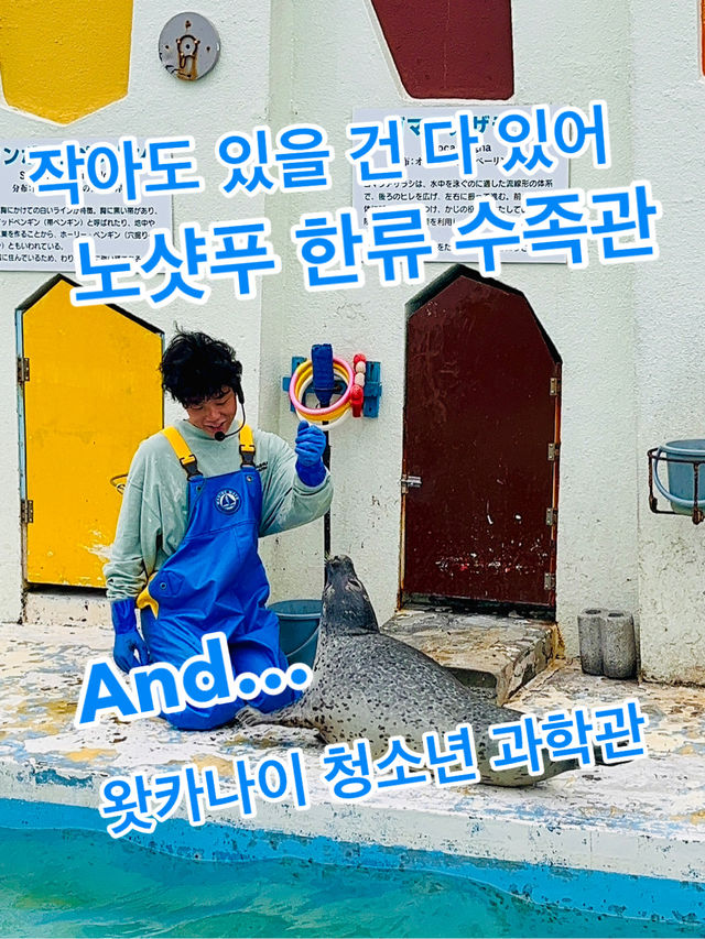 작아도 있을 건 다 있어 노샷푸 한류 수족관🐧 & 왓카나이 청소년 과학관