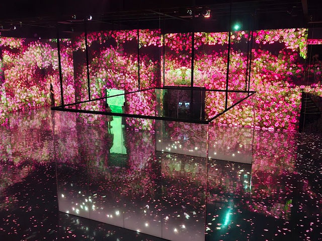 Arte Museum Busan｜沉浸式光影藝術初體驗