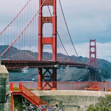 San Francisco, một cuốn nhật ký du lịch đầy cảm xúc được tạo nên bởi biển và đồi