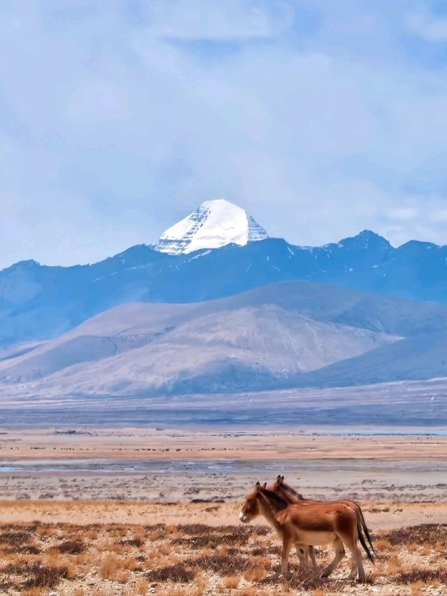Sacred Views at Manasarovar Lake,