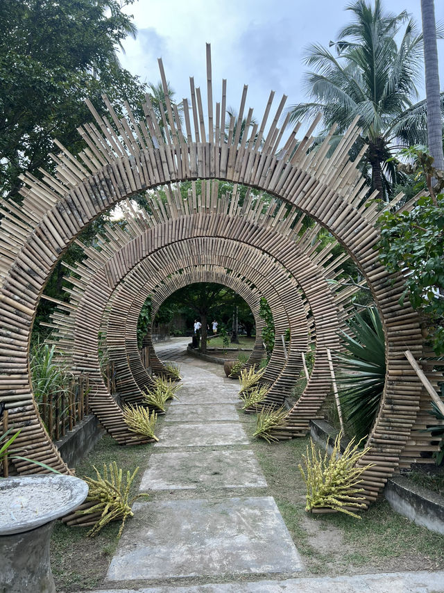 🌴 รีวิว The Jungle Club Samui