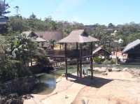 🐨 Taronga Zoo Sydney สวนสัตว์ที่วิวดีที่สุดในโลก!