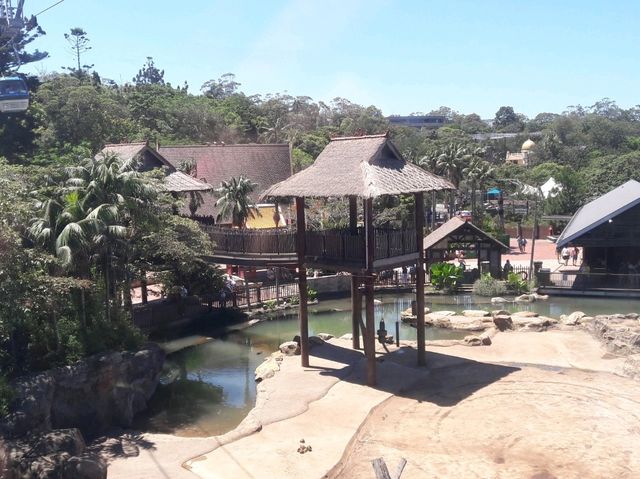 🐨 Taronga Zoo Sydney สวนสัตว์ที่วิวดีที่สุดในโลก!
