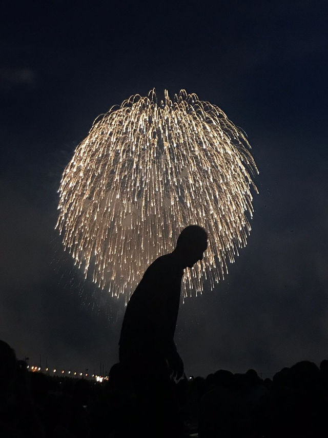 【新潟🇯🇵】日本三大花火を楽しもう🎆