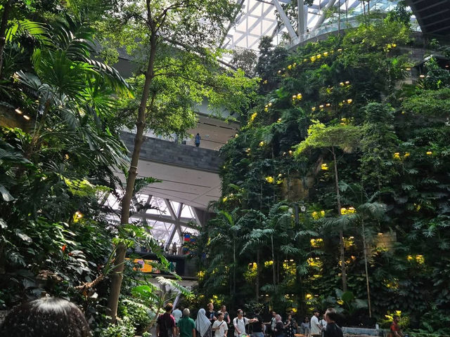 新加坡樟宜國際機場-星耀樟宜