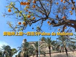 Cruise Shore Excursion ~ Palma de Mallorca, Spain