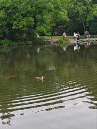 VIEWING FISH AT FLOWER HARBOR · HANGZHOU’S DANCING AQUATIC PALETTE