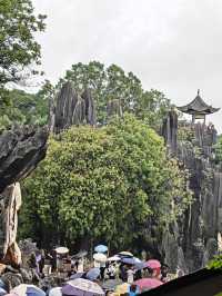 Yunnan Kunming Natural Stone Formation