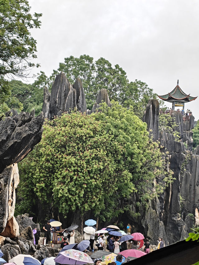 Yunnan Kunming Natural Stone Formation