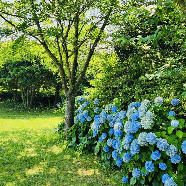 Observing Traditional Architecture and Symbolism Enhanced by Nature's Palette