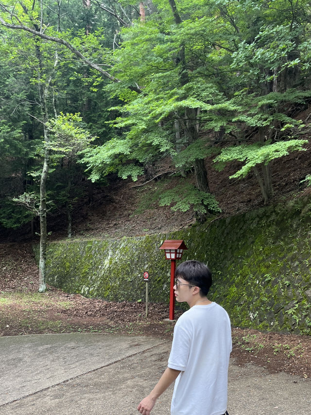 💥 Best Mount Fuji View from Arakurayama Park!