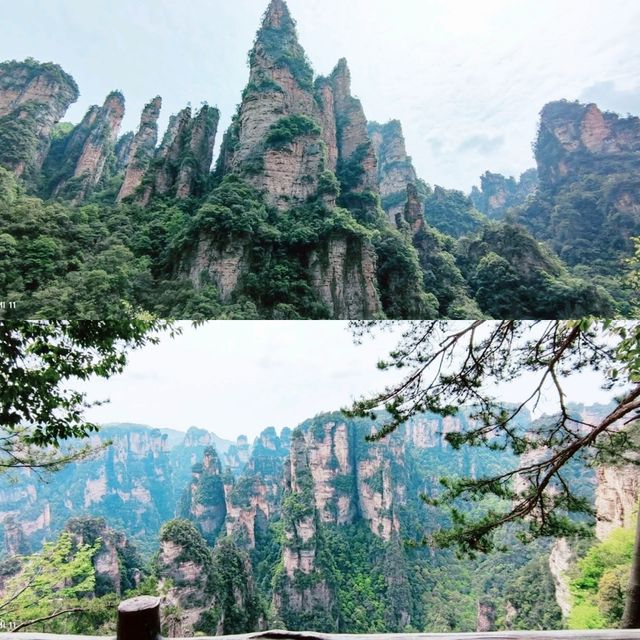 Into the Real-Life Avatar Mountains: A Zhangjiajie Adventure