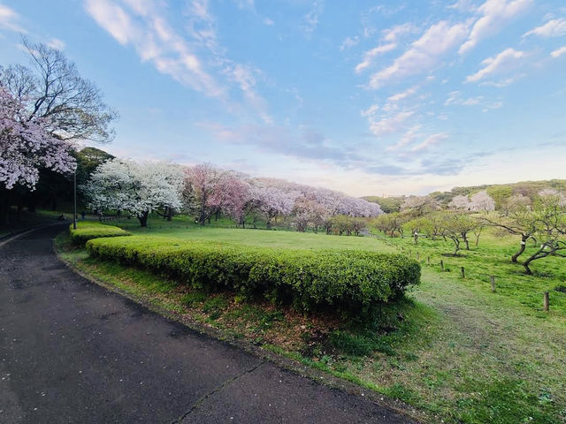Negishi Forest Park in Yokohama
