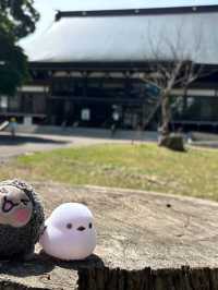 記錄一下六月份北海道自駕旅遊沿路參拜的神社