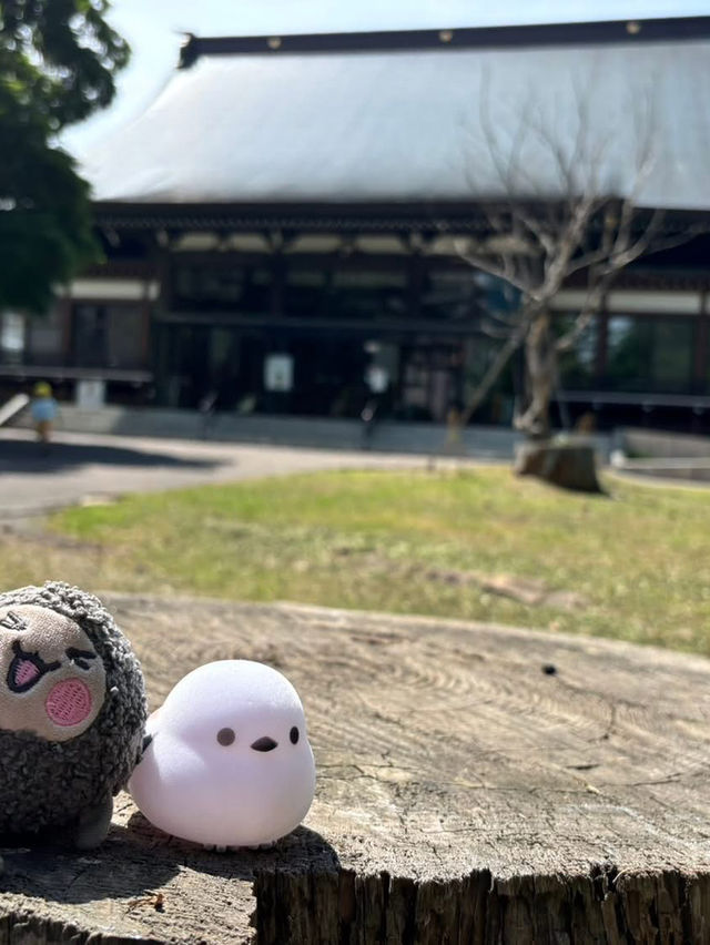 記錄一下六月份北海道自駕旅遊沿路參拜的神社 記錄一下六月份北海道自駕旅遊沿路參拜的神社