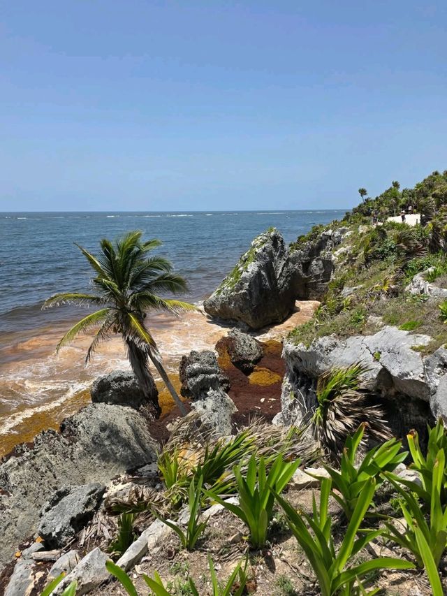 Ancient Stones and Ocean Breeze at Tulum Ruins
