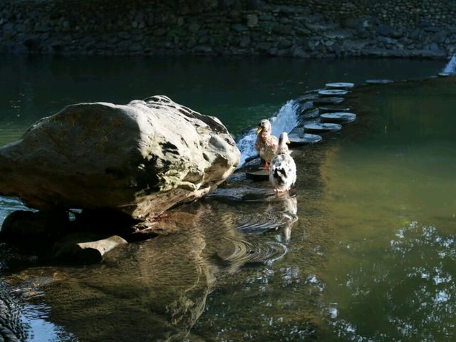 Hidden in the Hills: China’s Living Miao Heritage