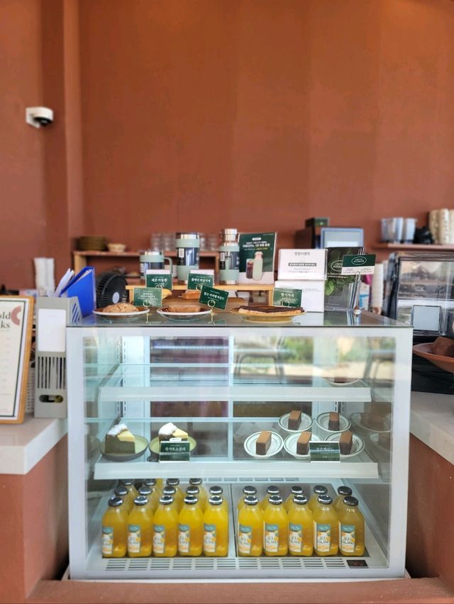 낭만적 태안 여름휴가 필수코스🧡