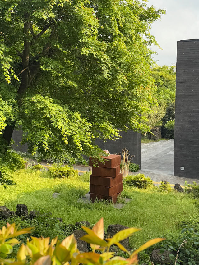🌿 제주도 여행 – 자연 속 힐링 여행