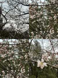 🎋 อยากไป “เทียนถาน” แต่ไม่รู้จะเริ่มยังไง?