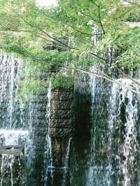 💧🏞️水と音がつなぐ非日常──品川・御殿山庭園の滝散歩