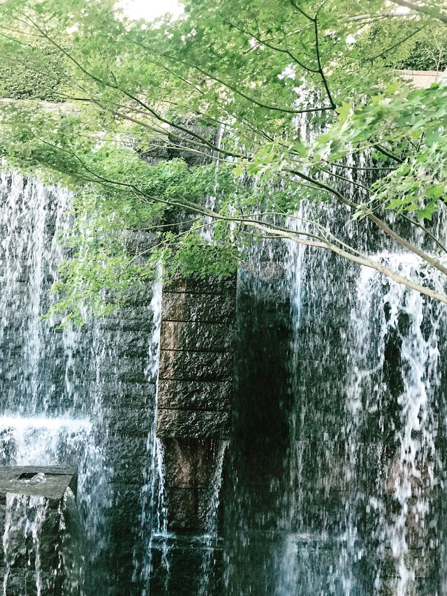 💧🏞️水と音がつなぐ非日常──品川・御殿山庭園の滝散歩 💧🏞️水と音がつなぐ非日常──品川・御殿山庭園の滝散歩