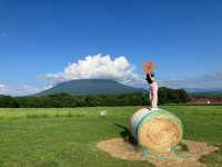 北海道高桥牧场