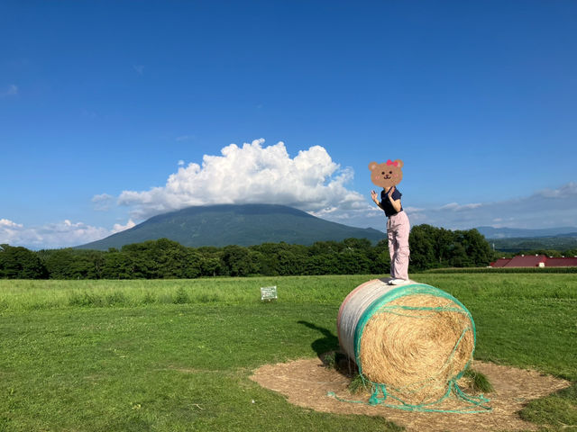 北海道高桥牧场