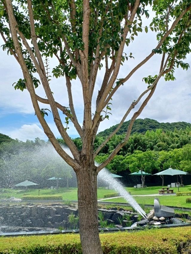 여름의 초록 파도, 태화강 국가정원 🌿 여름의 초록 파도, 태화강 국가정원 🌿