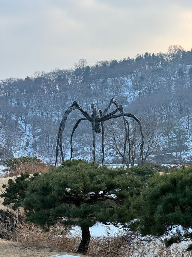 ๐๏ธ ํ๊ตญ ์ ํต๋ฏธ์ ์ ์ โจ ํธ์๋ฏธ์ ๊ด & ํฌ์ ๐ธ ๐๏ธ ํ๊ตญ ์ ํต๋ฏธ์ ์ ์ โจ ํธ์๋ฏธ์ ๊ด & ํฌ์ ๐ธ