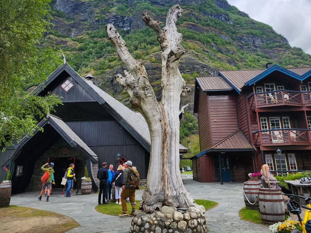 Scenic Fjord Adventures in Flam 