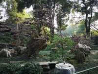 🌳 People’s Park Chengdu: A Historic Heartbeat of Sichuan