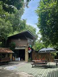 Sipping Coffee at Back Street Café