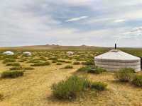 Grassland Paradise