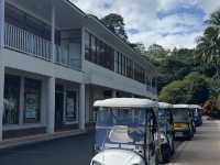 【Hamilton Island｜大堡礁的夢幻心臟】