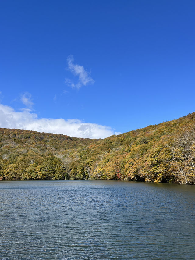  บ่อทสึตะนุมะ (Tsutanuma Pond)