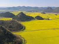 Luoping - Sea of Rapeseed Flowers in Yunnan.