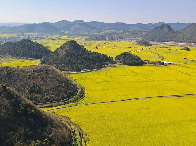 Luoping - Sea of Rapeseed Flowers in Yunnan. Luoping - Sea of Rapeseed Flowers in Yunnan.