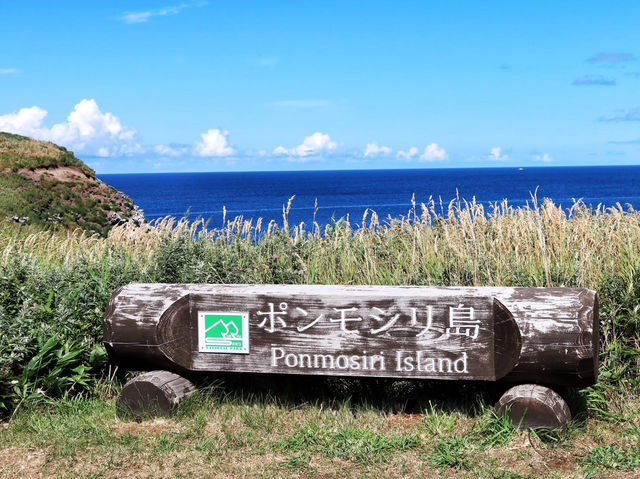在「夢之浮島」 做了一場美麗的夢
