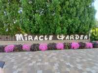 Miracle Garden