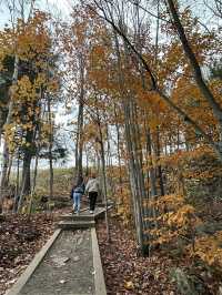 🇨🇦モントランブラン（Mont-Tremblant）の紅葉ハイキング 🍁